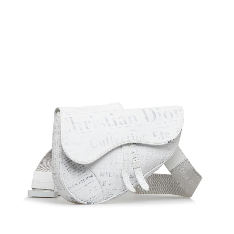 Dior x Daniel Arsham Saddle (orL7Q6)