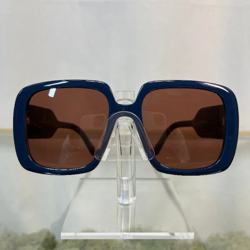 Dior DiorBobby S2U Blue Sunglasses TS3758